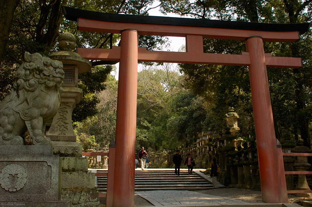 KasugaShrine_Torii_9906