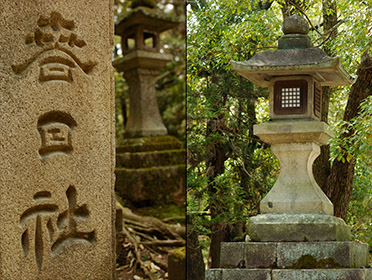 KasugaShrine_Lanterns