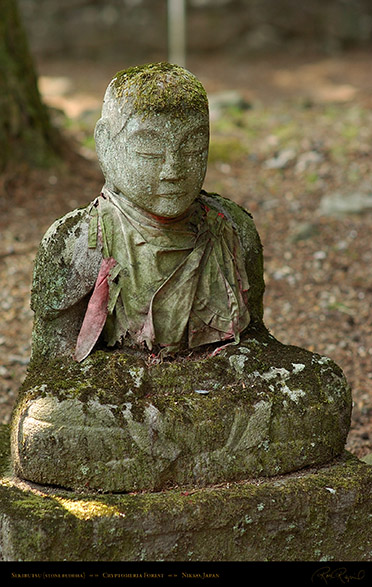 Nikko_Forest_Sekibutsu_8076