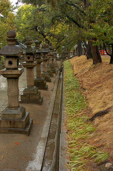 SumiyoshiTaisha_Lanterns_0069