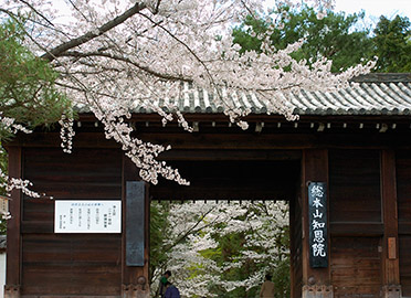 Chion-in_9625