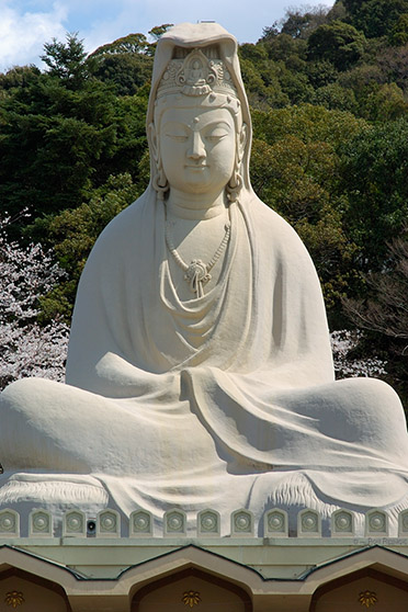 RyozenKannon_9606