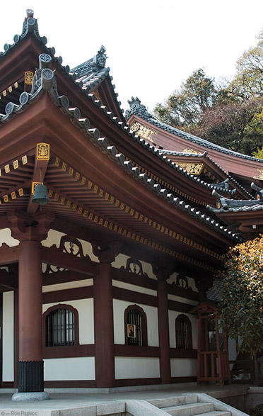 Hasedera_Kannon-do_0731