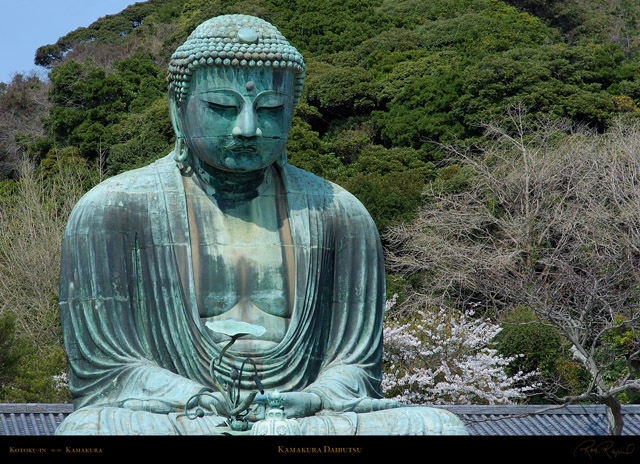 KamakuraDaibutsu_0788