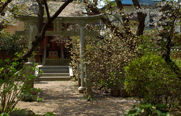 Hokaiji_TokusoShrine_0702