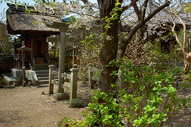 Hokaiji_TokusoShrine_0703