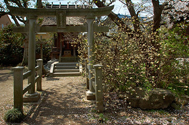 Hokaiji_TokusoShrine_0705