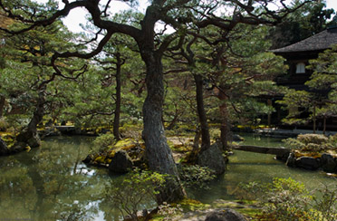 Ginkakuji_9657