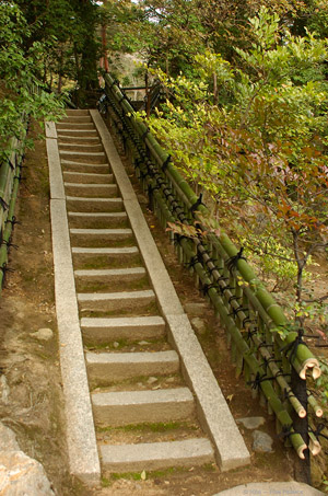 Kinkakuji_Fencing_9273