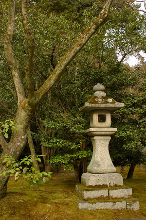 Kinkakuji_Lantern_9279