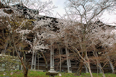 Kiyomizudera_Hondo_Scaffolding_9579