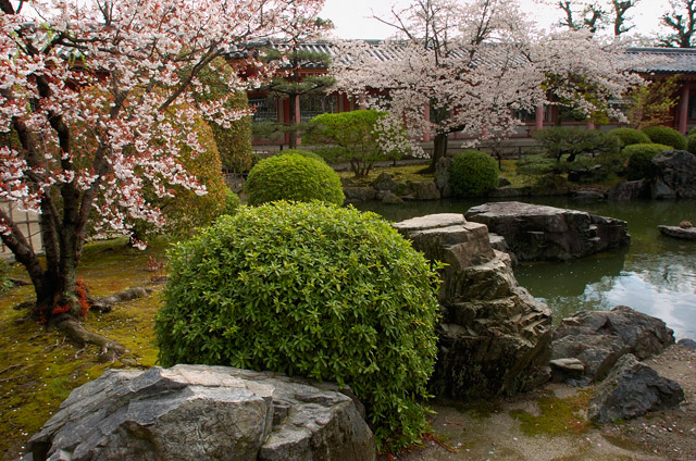 Sanjusangendo_Garden_9514
