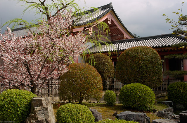 Sanjusangendo_Garden_9516