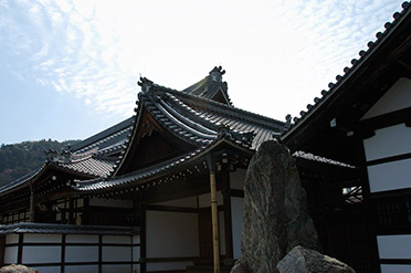 Tenryuji_Kuri_9220