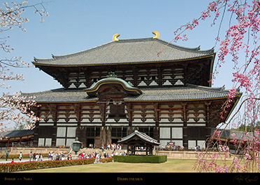 Todaiji_9857