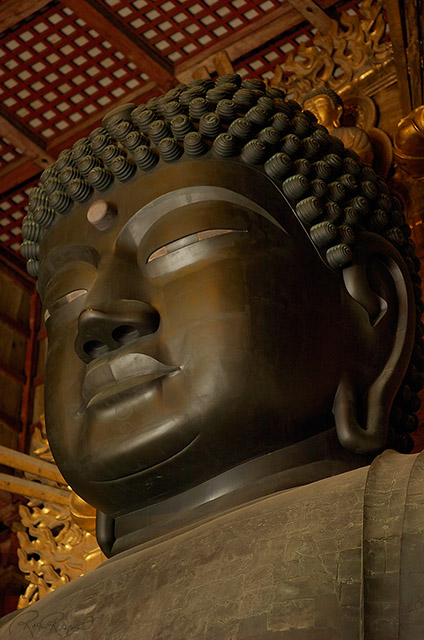 Todaiji_Daibutsu_9849