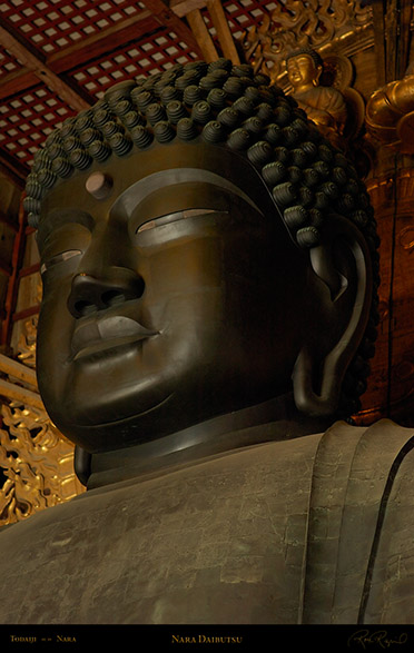 Todaiji_Daibutsu_9854