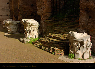 Colosseum_ColumnCapitals_7232