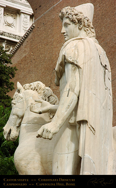 Castor_Cordonata_Dioscuri_7423