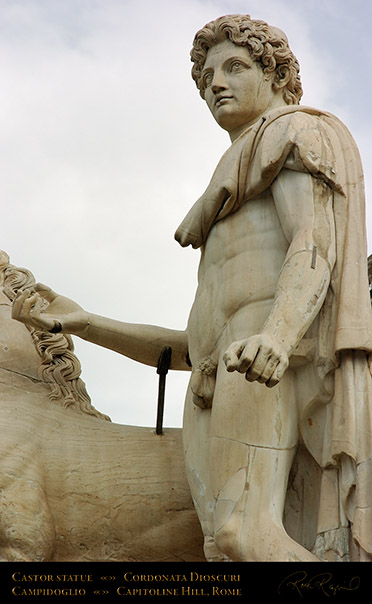 Castor_Cordonata_Dioscuri_7426