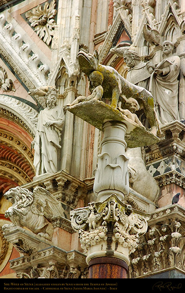 She-Wolf_Siena_Cathedral_6181