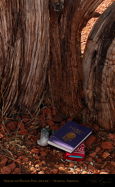 ShrineDetail_PinyonPine_SedonaAZ_X0125