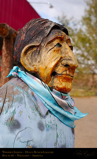 WoodenIndian_DustyBunch_WilliamsAZ_1783