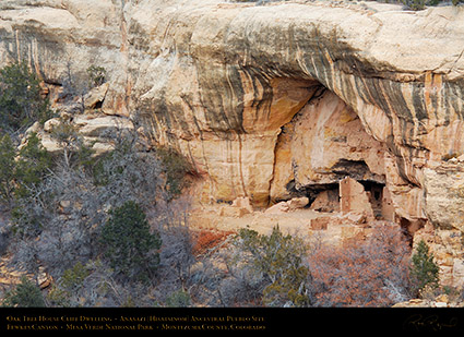 Mesa_Verde_Oak_Tree_House_X9711