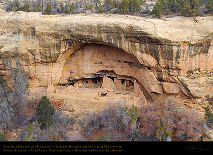 Mesa_Verde_Oak_Tree_House_X9738