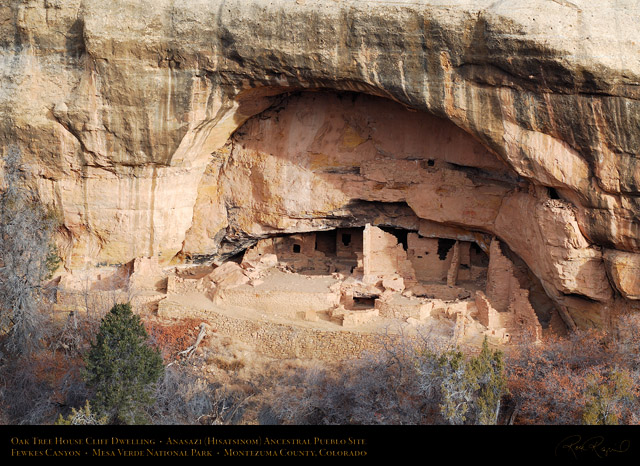 Mesa_Verde_Oak_Tree_House_X9742