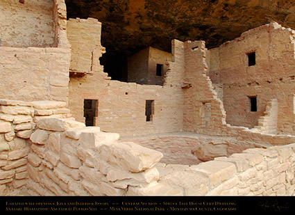 Mesa_Verde_Spruce_Tree_House_Central_Detail_X9788