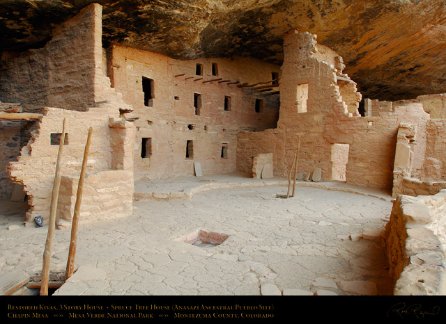 Mesa_Verde_Spruce_Tree_House_Kivas_3_Story_House_X9798