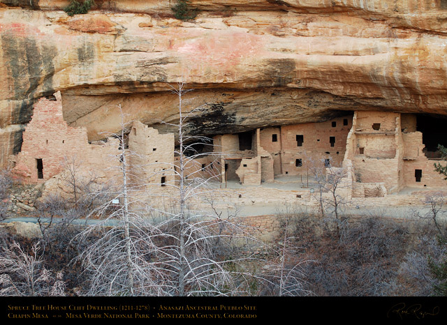 Mesa_Verde_Spruce_Tree_House_X9683