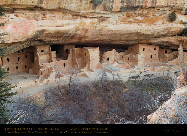 Mesa_Verde_Spruce_Tree_House_X9686