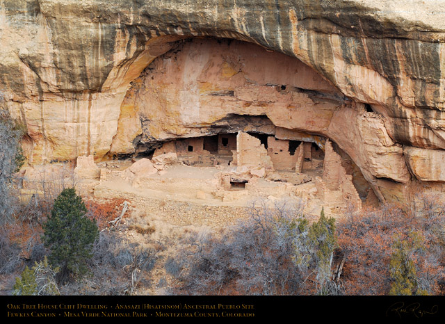 Mesa_Verde_Oak_Tree_House_X9737