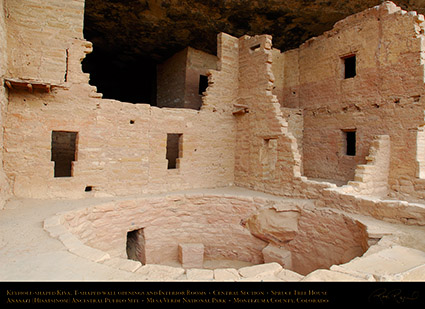 Mesa_Verde_Spruce_Tree_House_Central_Kiva_X9775