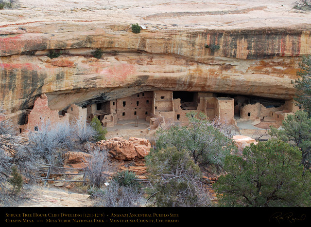 Mesa_Verde_Spruce_Tree_House_X9691