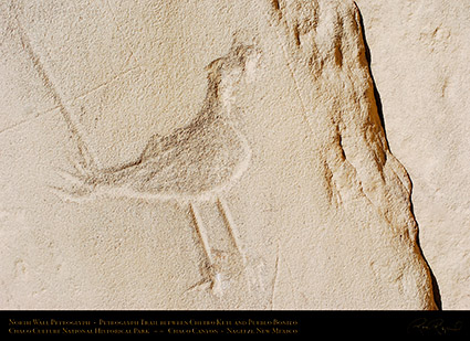 Chaco_Road_Runner_Petroglyph_5161