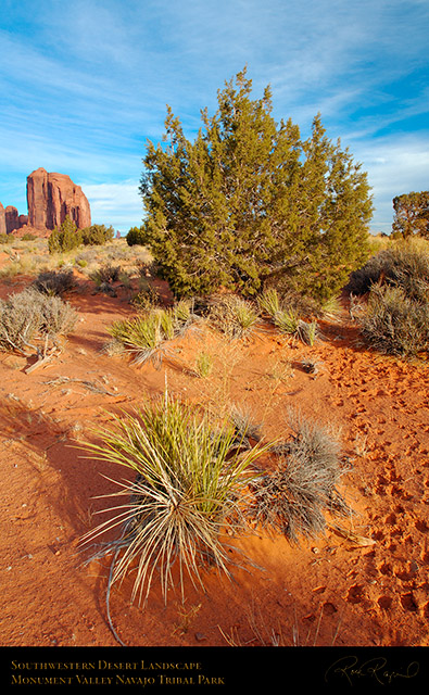 Monument_Valley_Landscape_X9940