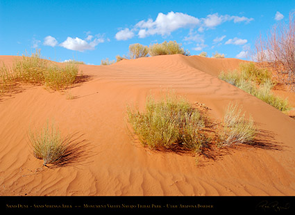 Monument_Valley_Sand_Dune_X1834