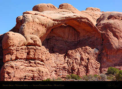 Biceps_Arch_Arches_NP_1578