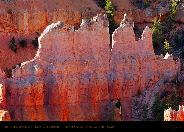 Bryce_Canyon_Fairyland_Fin_at_Sunrise_6631