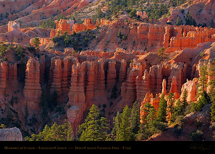 Bryce_Canyon_Fairyland_Hoodoos_at_Sunrise_6605