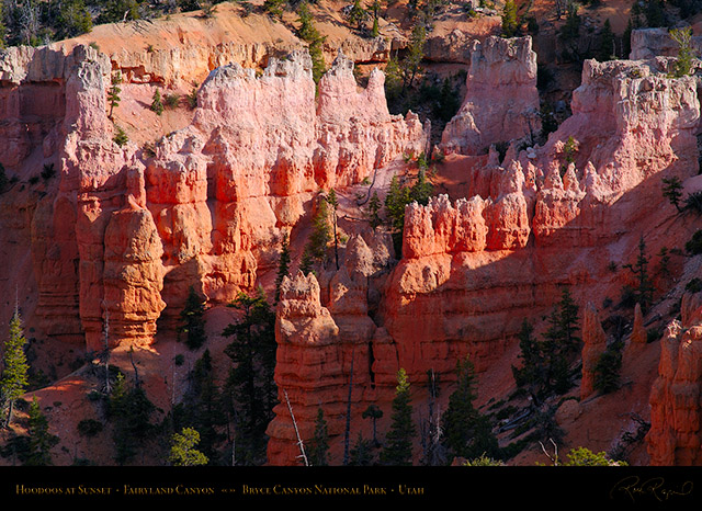 Bryce_Canyon_Fairyland_Hoodoos_at_Sunset_X2115