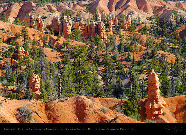 Bryce_Canyon_Fairyland_Landscape_X1851