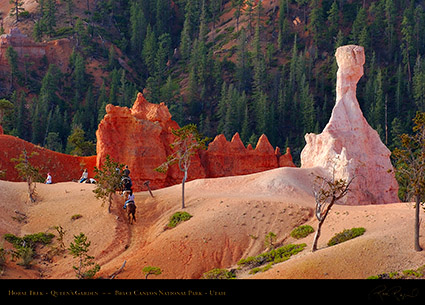 Bryce_Canyon_Queens_Garden_Horse_Trek_5583