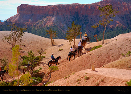 Bryce_Canyon_Queens_Garden_Horse_Trek_6691