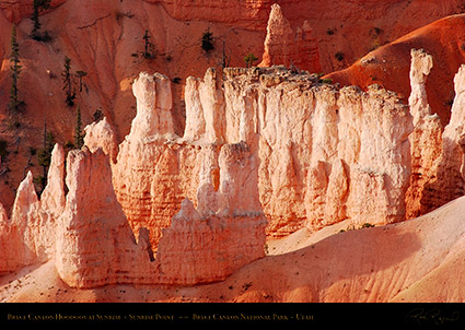 Bryce_Canyon_Hoodoos_Sunrise_Point_1793