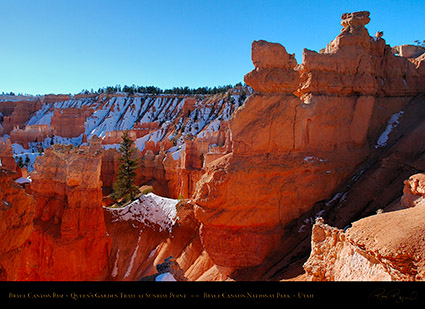 Bryce_Canyon_Rim_Sunrise_Point_5319