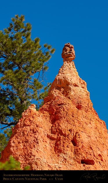 Bryce_Canyon_Hoodoo_Navajo_Trail_X2060